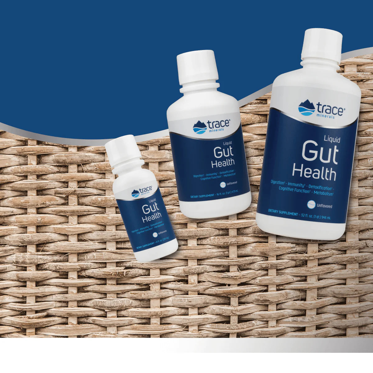 Gut Health